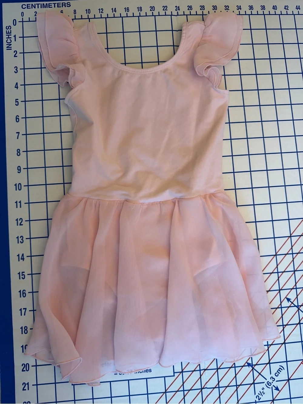 Stelle Pink Chiffon Skirt Ballet Dress with Flutter Sleeves